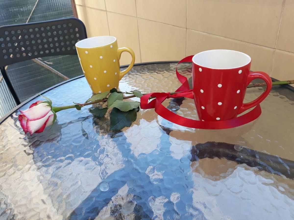 Studio 17 Belgrad Dış mekan fotoğraf